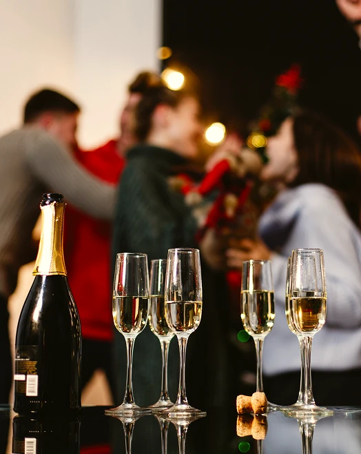 christmas new-year preparations company attractive happy young people celebrate